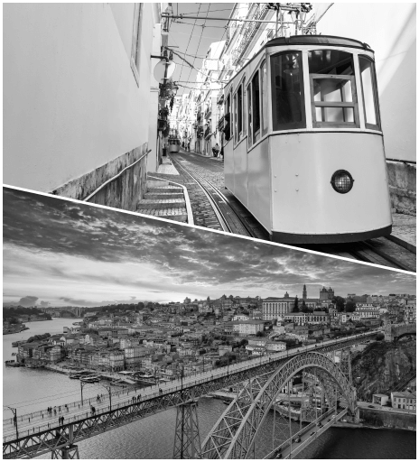 Lisboa e Porto Fall Walls